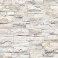 Royal White 9x18 Corner Splitface Quartzite Ledger Stone