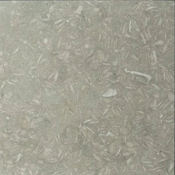 Rustic Green (Sea Grass) 18x18 Polished Limestone Tile