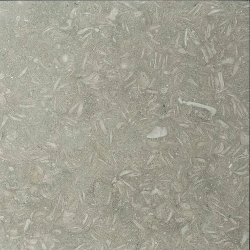 Rustic Green (Sea Grass) 18x18 Polished Limestone Tile