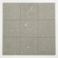 Rustic Green (Sea Grass) 12x12 Honed Natural Limestone Tile close-up