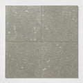 Rustic Green (Sea Grass) 18x18 Honed Limestone Tile close-up