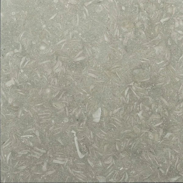 Rustic Green (Sea Grass) 12x12 Polished Natural Limestone Tile