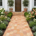 Saltillo Regular Hexagon 8x8 Natural Terracota Paver — Garden path