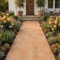 Saltillo Super Hexagon Terracota 8x8 Natural Paver — Garden path