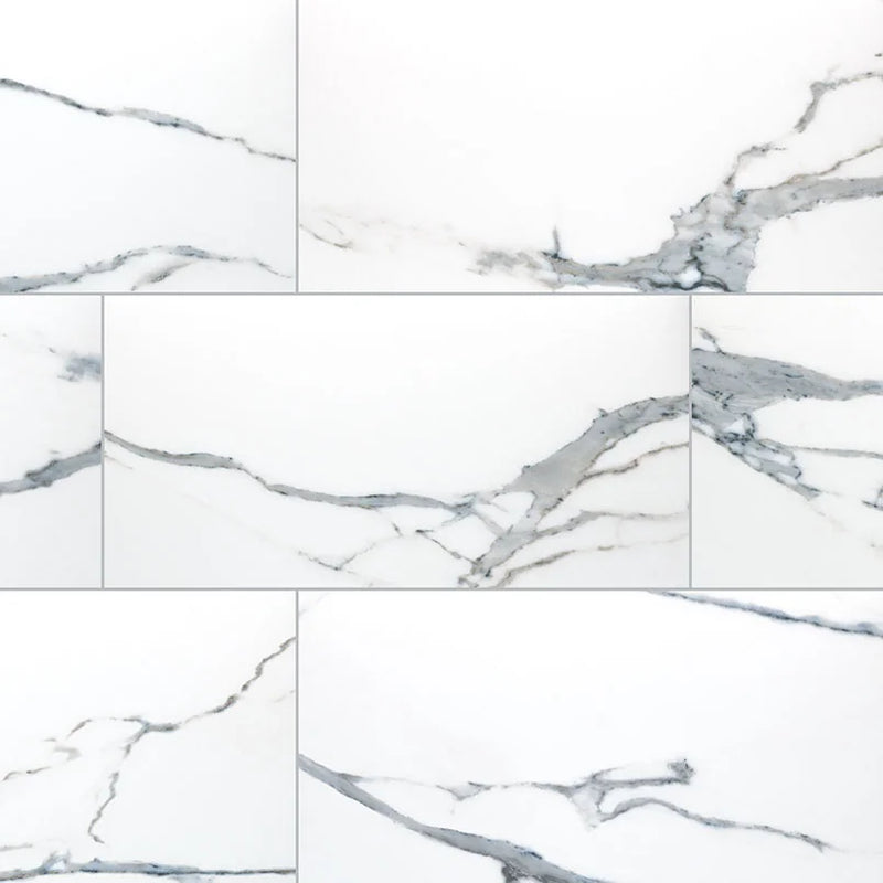 Savoy Azula 24x48 Polished Porcelain Tile
