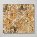 Scabos Travertine 12x24 Filled & Honed Travertine Tile close-up