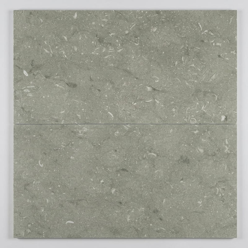 Seagrass 18x36 Honed Limestone Tile close-up