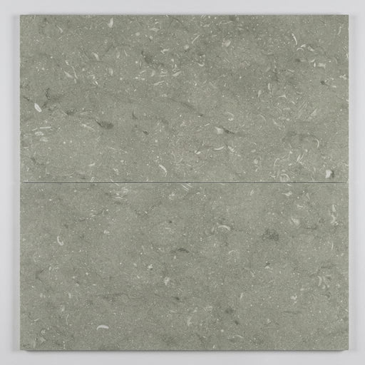 Seagrass 18x36 Honed Limestone Tile close-up