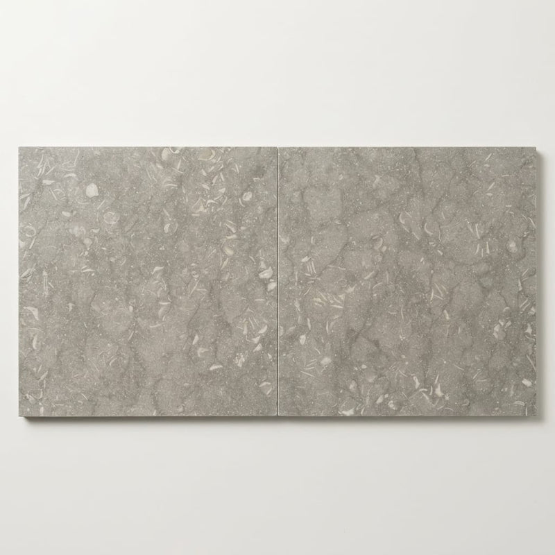 Seagrass 24x24 Honed Limestone Tile close-up