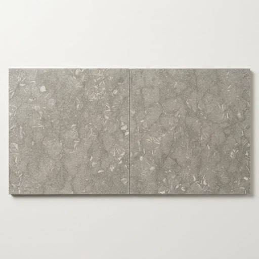 Seagrass 24x24 Honed Limestone Tile close-up
