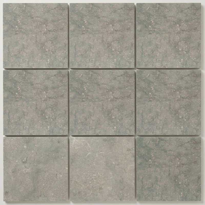 Seagrass Limestone Tile 12x12 Honed close-up