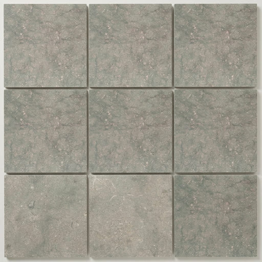 Seagrass Limestone Tile 12x12 Honed close-up