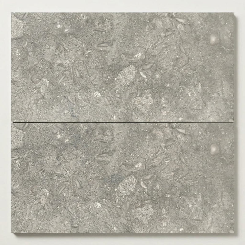 Seagrass Limestone Tile 12x24 Honed close-up