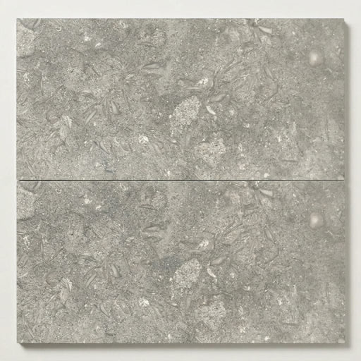 Seagrass Limestone Tile 12x24 Honed close-up