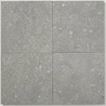Seagrass Limestone Tile 16x16 Honed close-up