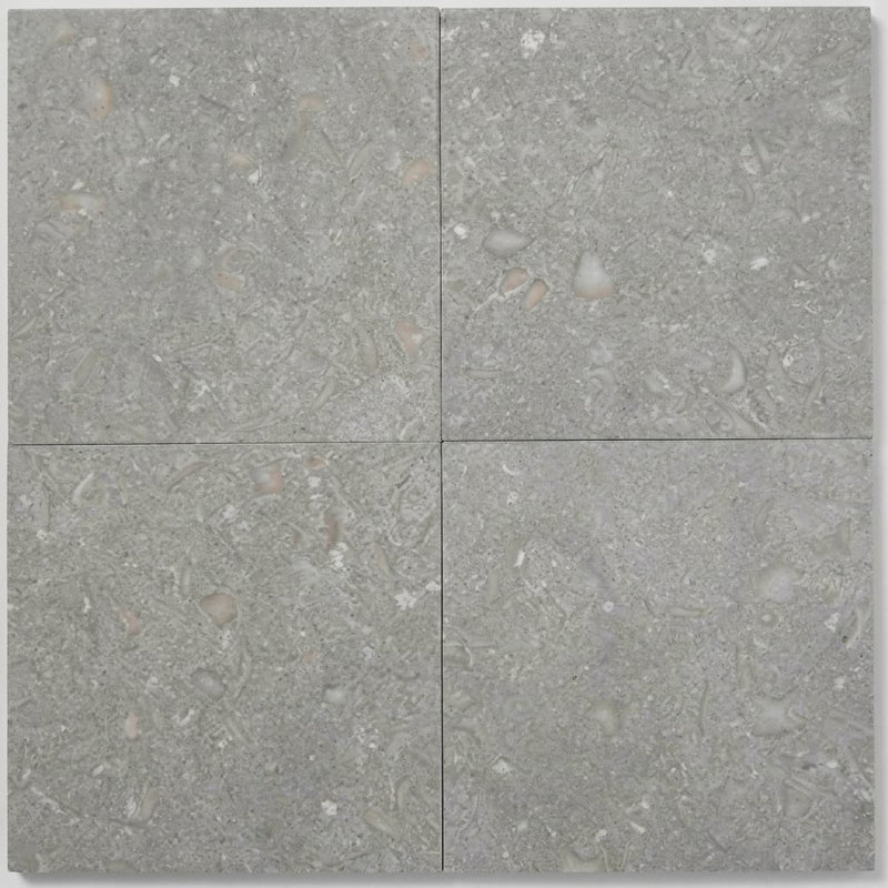 Seagrass Limestone Tile 16x16 Honed close-up