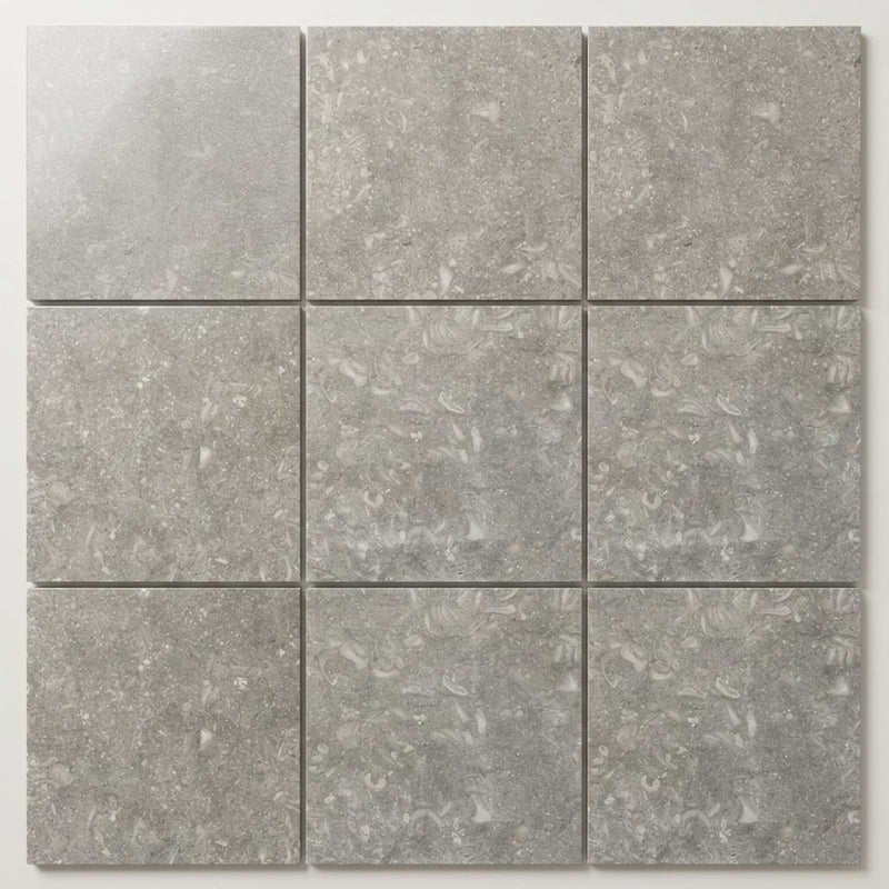 Seagrass Polished 12x12 Limestone Tile close-up