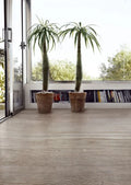 Selection Oak Grey 6x36 Wood Look Porcelain Tile
