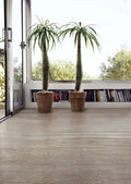 Selection Oak Grey 8x48 Wood Look Porcelain Tile