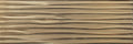Selene Mariana 11.8x35.4 Porcelain Tile