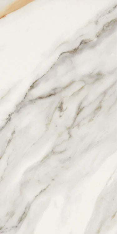 Selezione Marmi Macchiavecchia 12x24 Matte Marble Look Porcelain Tile