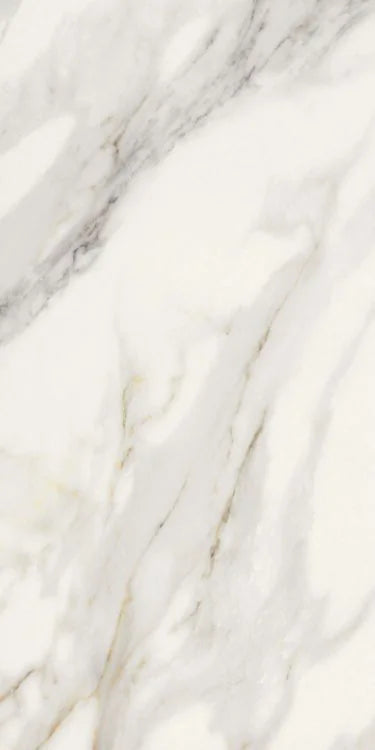 Selezione Marmi Macchiavecchia 12x24 Matte Marble Look Porcelain Tile