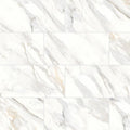 Shandar Arezzo Bianco 24x12 Polished Ceramic Tile