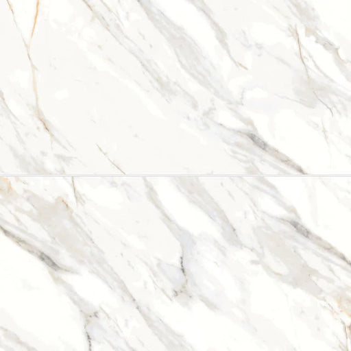 Shandar Arezzo Bianco 48x24 Polished Ceramic Tile