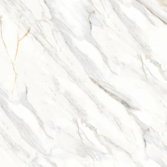 Shandar Arezzo Bianco 48x48 Matte Ceramic Tile