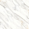 Shandar Arezzo Bianco 48x48 Polished Ceramic Tile