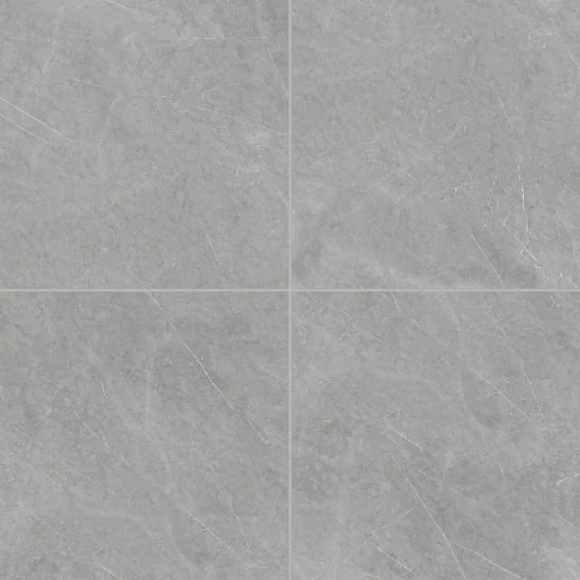 Shandar Florence Grey 24x24 Matte Textured Ceramic Field Tile