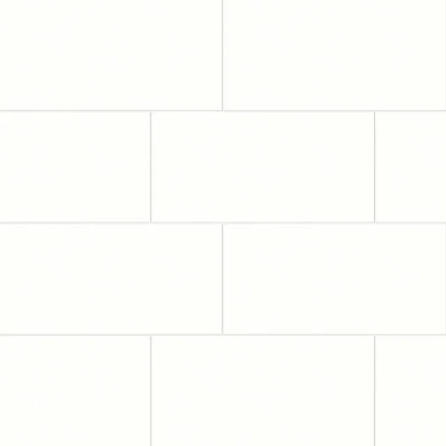 Shandar Plain White 12x24 Polished Ceramic Tile