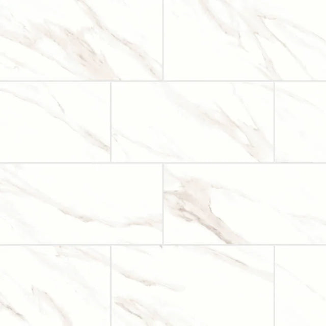Shandar Statuario 24x12 Matte Ceramic Field Tile
