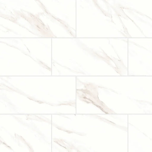Shandar Statuario 24x12 Matte Ceramic Field Tile