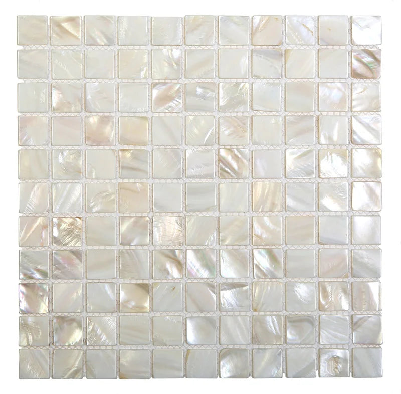 Shell Oyster White 12x12 1 inch Square Mosaic