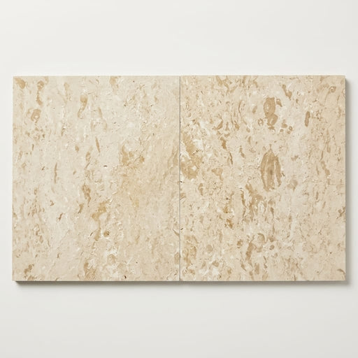 Shell Stone Limestone Tile 24x24 Brushed close-up