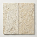 Shell Stone Limestone Veneer 12x24 Splitface close-up