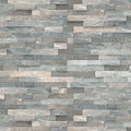 Sierra Blue 6x24 Splitface Quartzite Ledger Stone