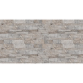 Silver Cream 24x6 Split Face Quartzite Ledger