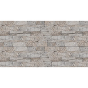 Silver Cream 24x6 Split Face Quartzite Ledger