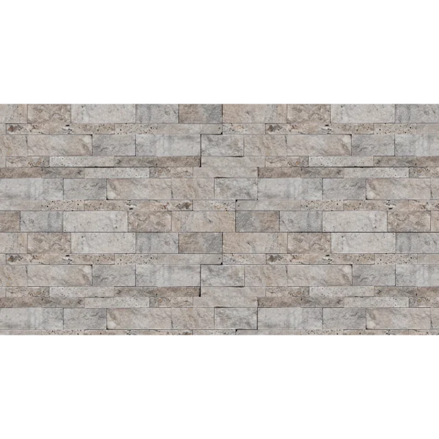 Silver Cream 24x6 Split Face Quartzite Ledger