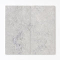 Silver Travertine Paver 12x24 Unfilled, Honed 2 inch close-up