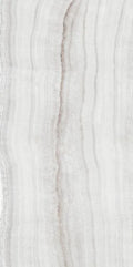 Skorpion Silver 24x48 Levigato Porcelain Tile