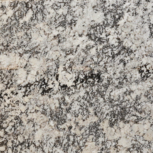 Delicatus White polished granite with a cream-white base and dense charcoal mineral veining.