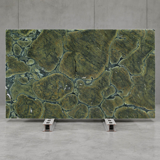 Vitoria Regia polished green quartzite slab with rounded organic patterns.