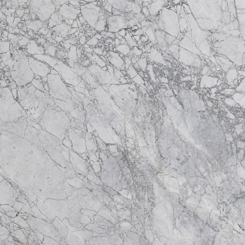 Super White dolomite marble slab close-up with a pale gray background and intricate branching gray veins.