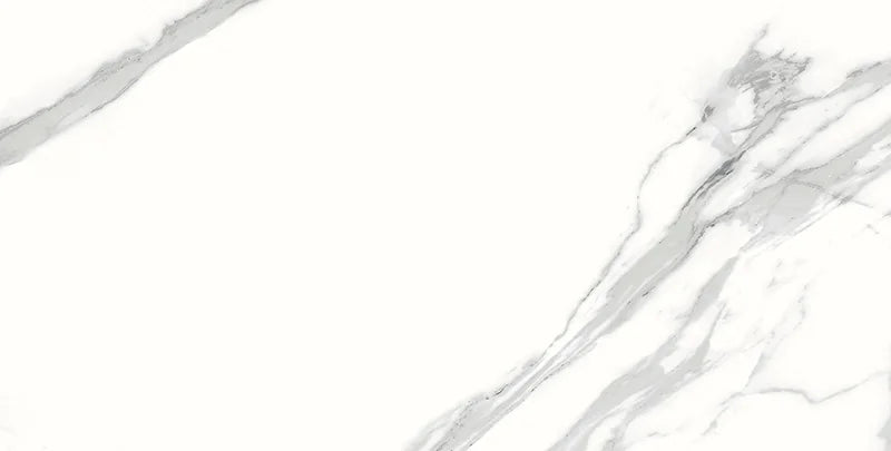 Spider 12x24 Polished Porcelain Tile