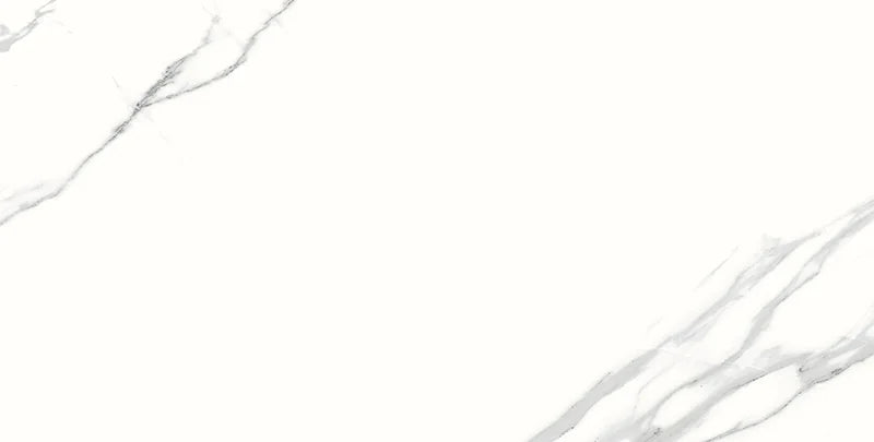 Spider 12x24 Polished Porcelain Tile