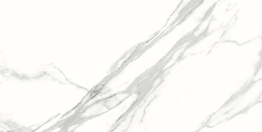 Spider 12x24 Polished Porcelain Tile