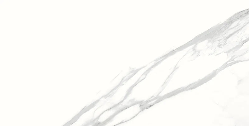 Spider 12x24 Polished Porcelain Tile